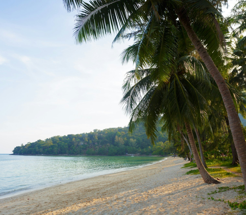 Sea. Tropical Paradise